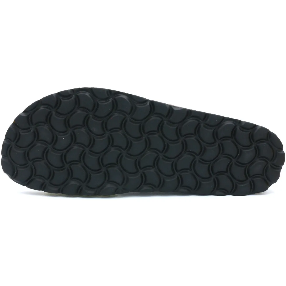 8101C01