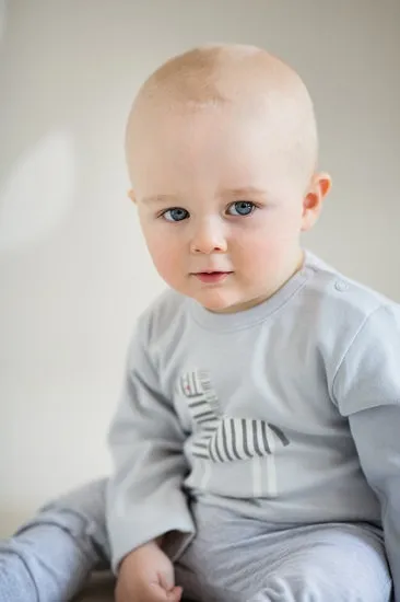 Body gris de bebé colección Wild Animals