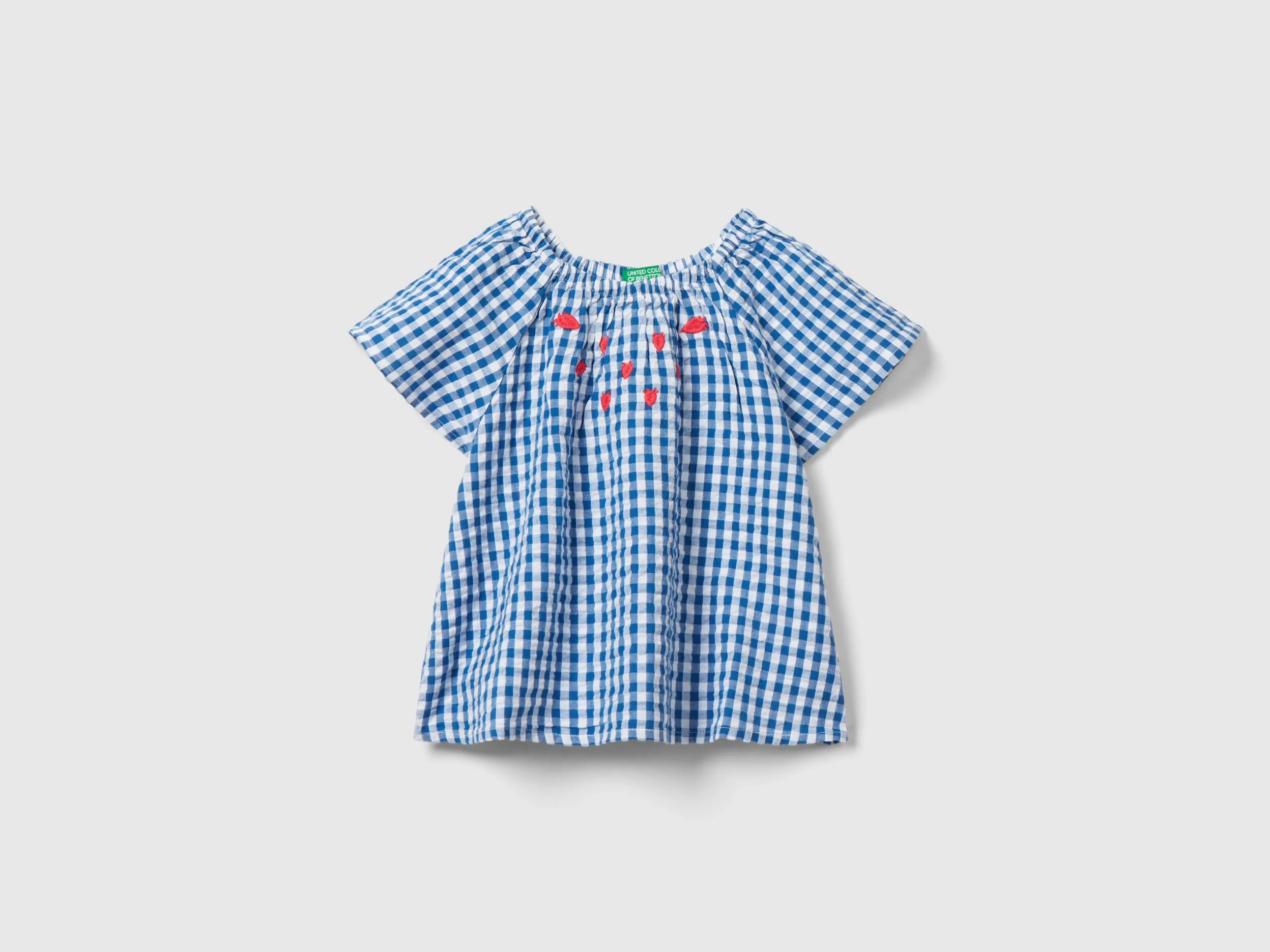 Camisa de vichy con bordados