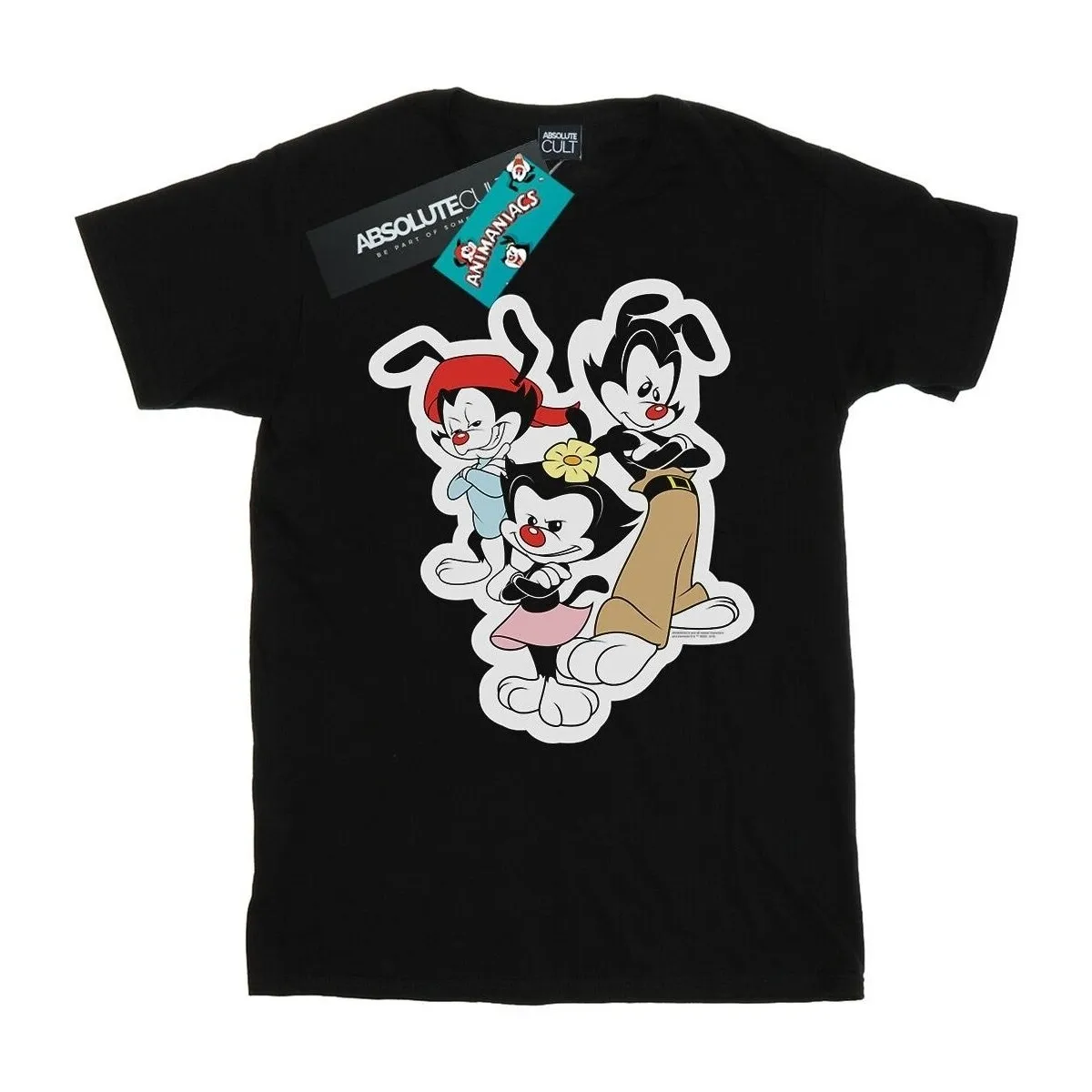 Dot Wakko And Yakko
