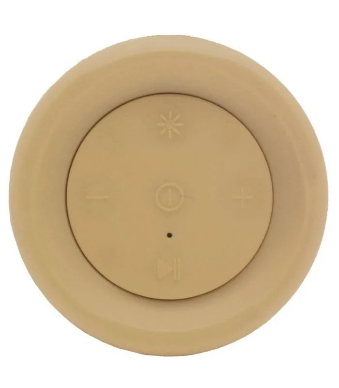 Magnussen Speaker S2 Gold