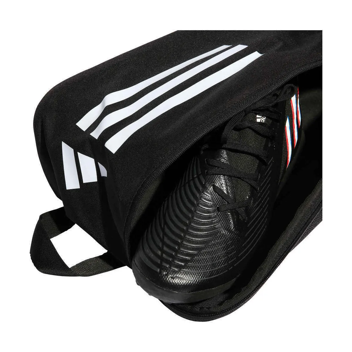 TR SHOEBAG