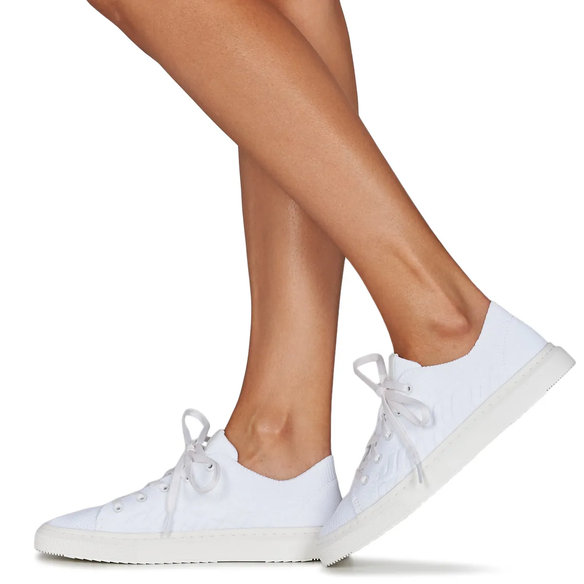 W ALAMEDA GRAPHIC KNIT